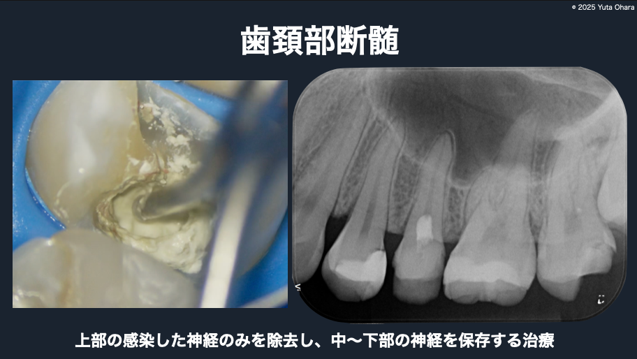 CleanShot 2025-10-24 at 14.23.48